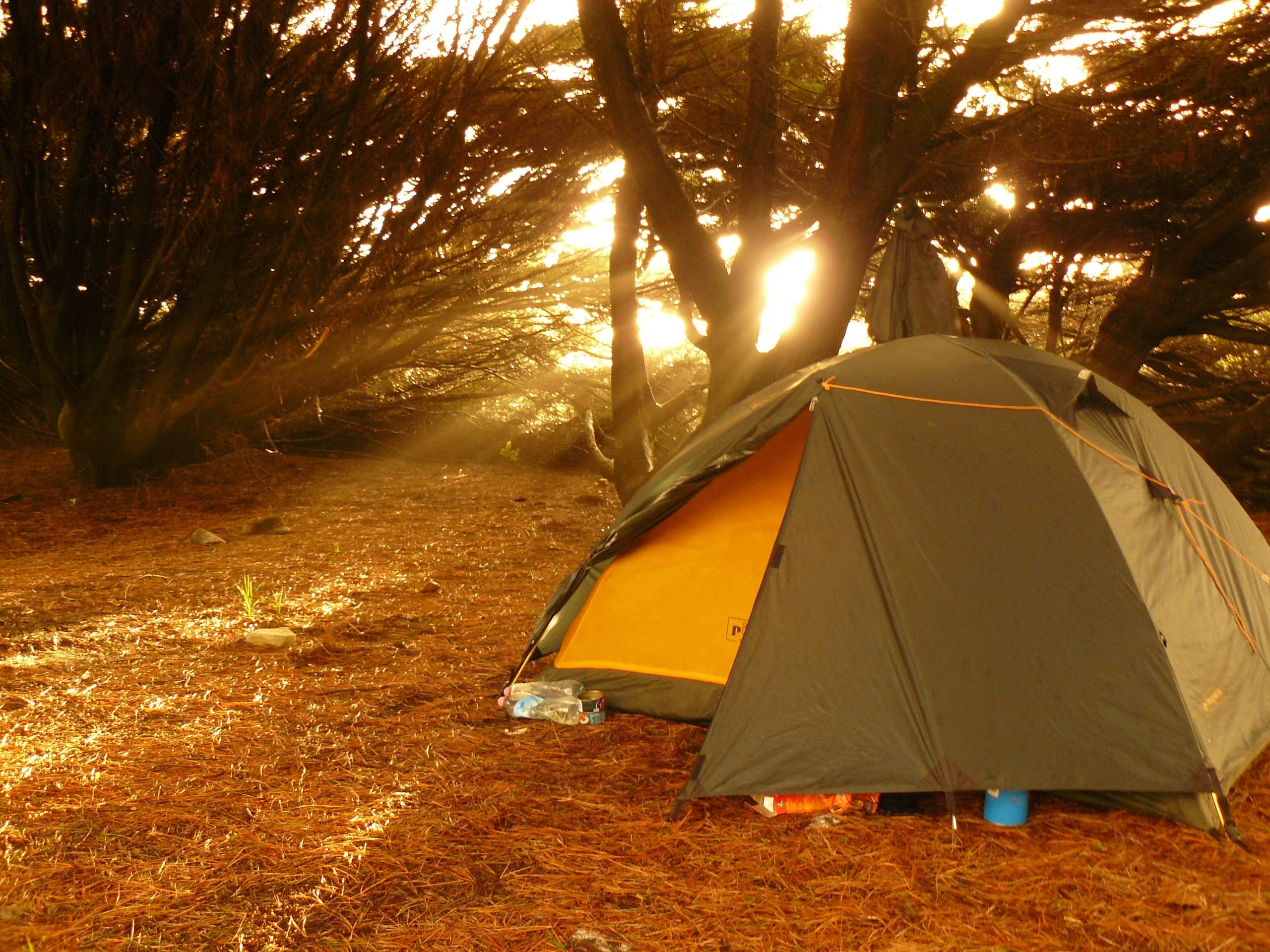 Adela Koudelová_ Kohurangi National Park - Heaphy Track